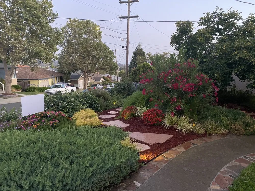 Affordable yard cleanup service in Tiburon, CA - Empress Landscaping