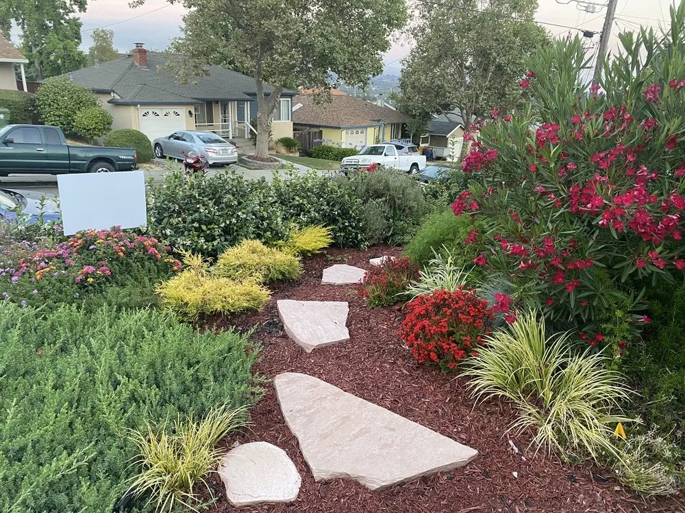 Professional outdoor landscaping near you in Tiburon, CA by Empress Landscaping