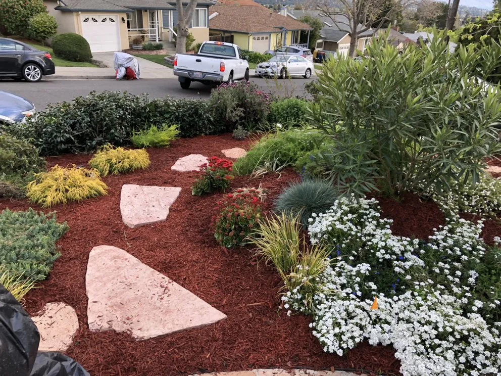Affordable landscape installation for beautiful yards in Tiburon, CA by Empress Landscaping