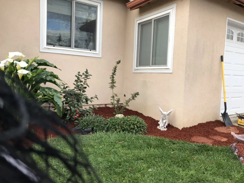 Reliable landscaping services in Tiburon, CA by Empress Landscaping