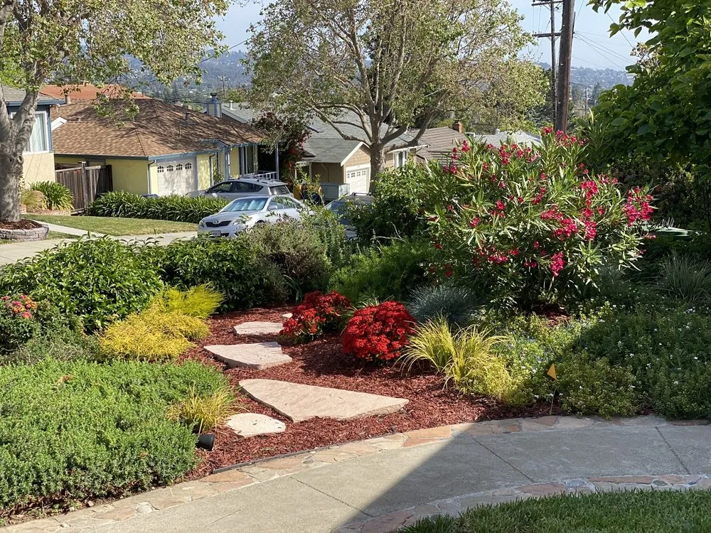 Reliable yard cleanup service in Tiburon, CA by Empress Landscaping