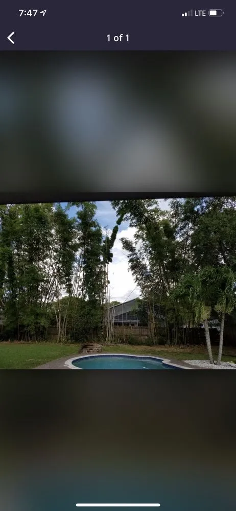 Expert lawn mowing service with custom design across Tiburon, CA - Empress Landscaping