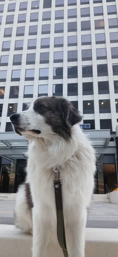 Trusted landscape design in Merlin, OR by EMS Handyman Services