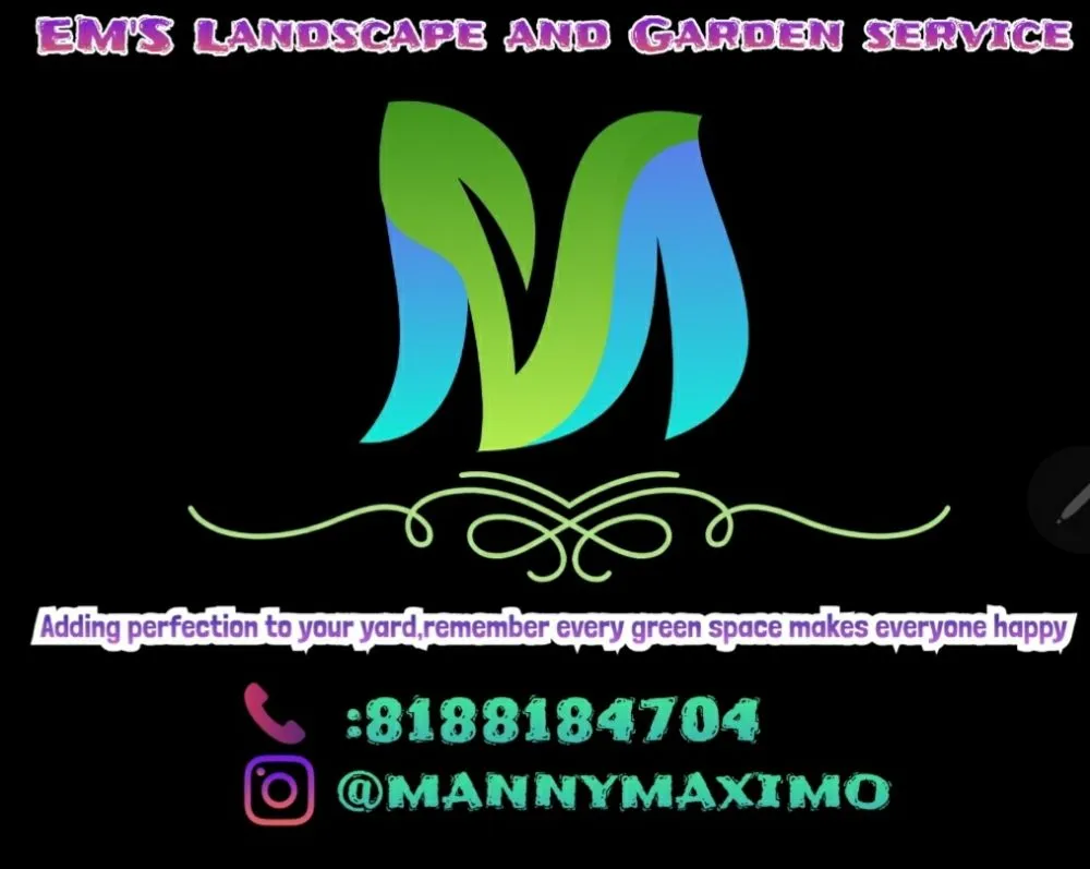 Top-rated yard cleanup service in San Fernando, CA - EM'S LANDSCAPE AND GARDENING