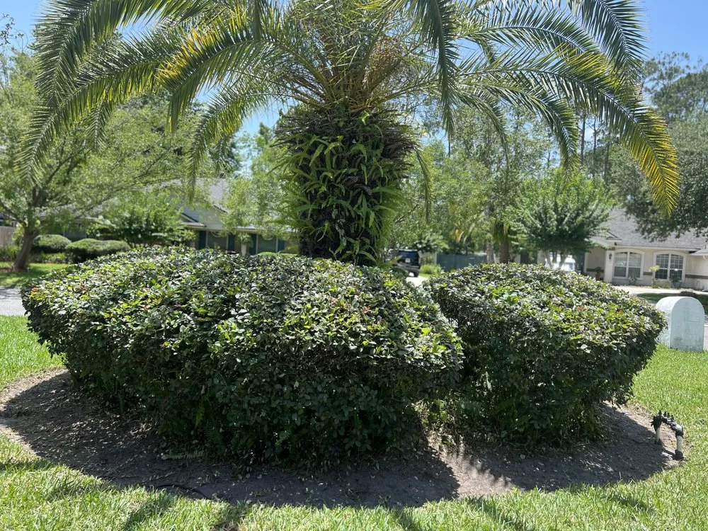 Reliable yard maintenance experts serving Middleburg, FL - EMS Lawn Care