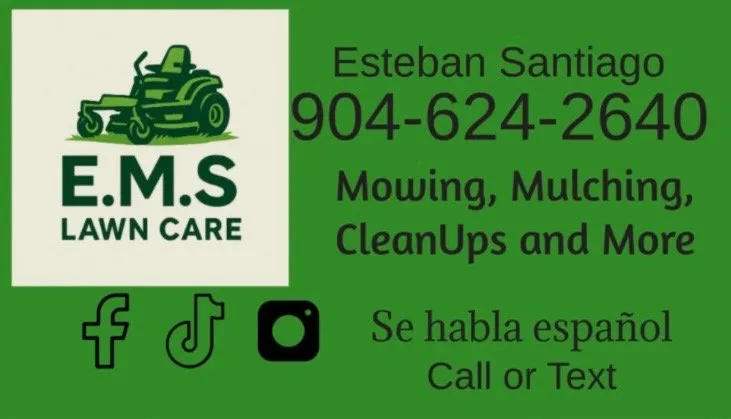 Custom yard cleanup service experts serving Middleburg, FL - EMS Lawn Care