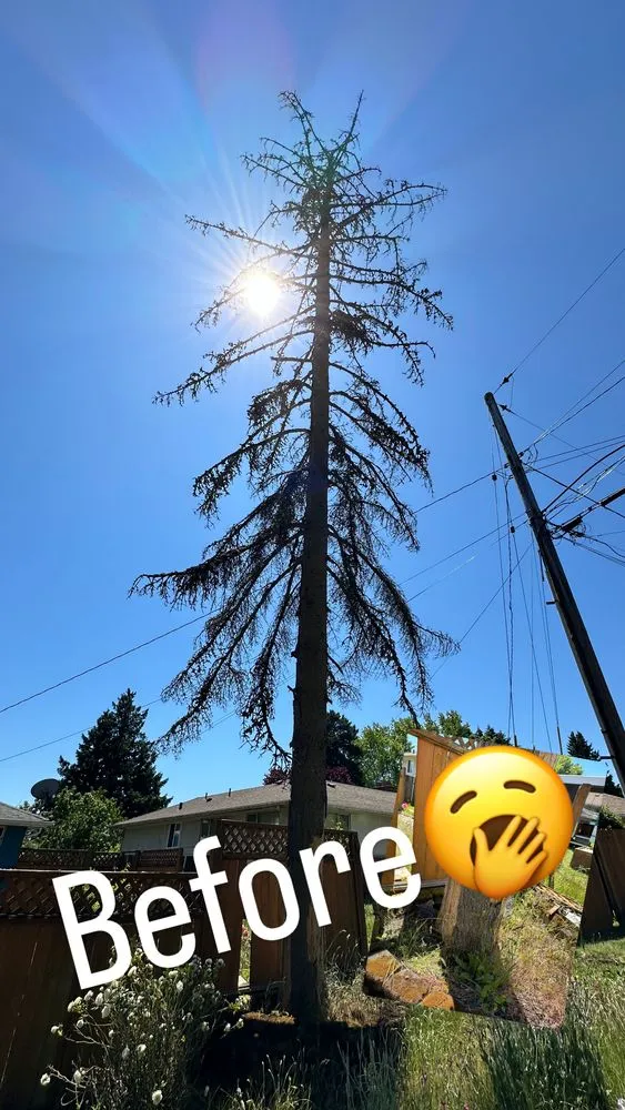 Custom landscape installation in Seattle, WA - E.M.T Landscaping