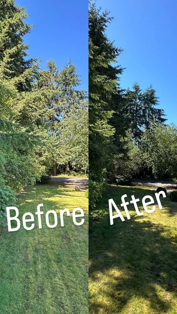 Local garden landscaping in Seattle, WA by E.M.T Landscaping