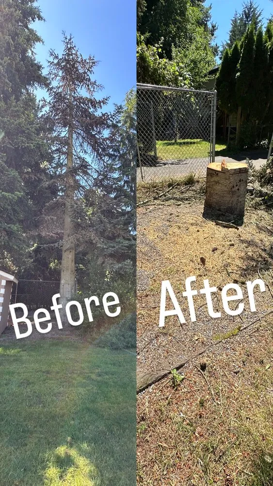 Trusted landscape installation in Seattle, WA by E.M.T Landscaping