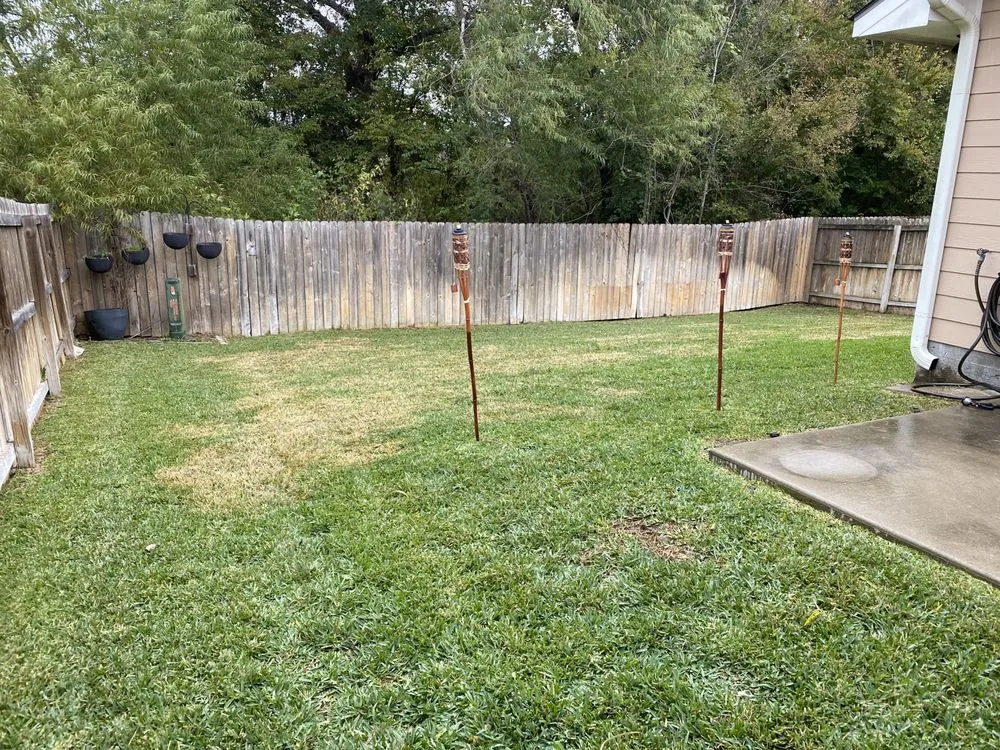 Custom lawn mowing service in Bryan, TX by Emurf Lawn Service