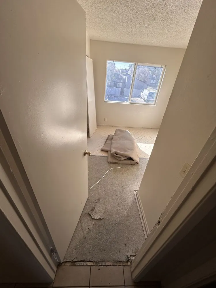 Local yard maintenance for residential properties across Henderson, NV - Emy’s Painting