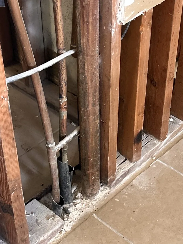 Affordable lawn care service in Henderson, NV - Emy’s Painting