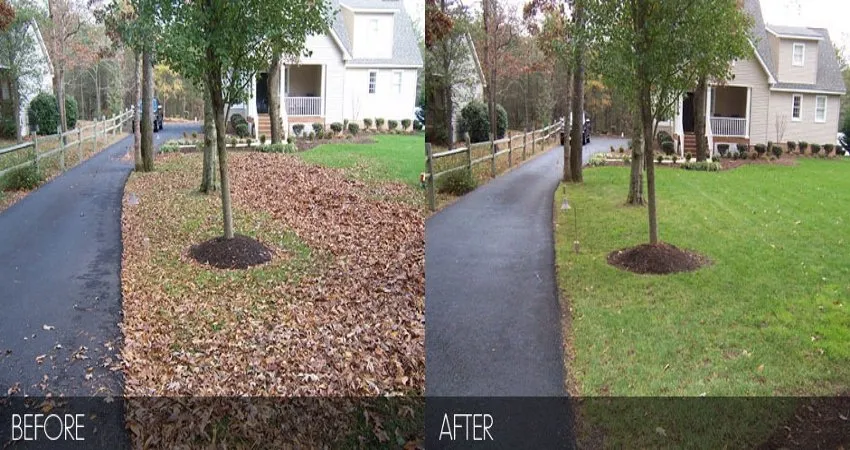 Affordable landscaping services experts serving Bedford, NH - En Gannim
