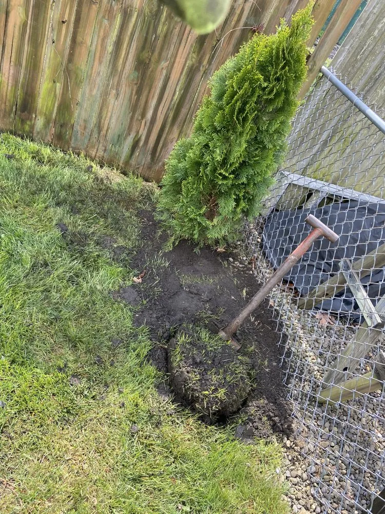 Professional landscaping services in West Chester, PA - E&N Landscaping Lawn Maintenance