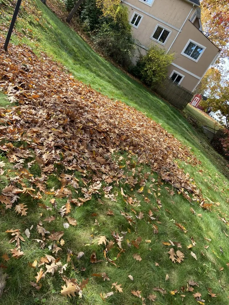 Trusted landscaping services experts serving West Chester, PA - E&N Landscaping Lawn Maintenance