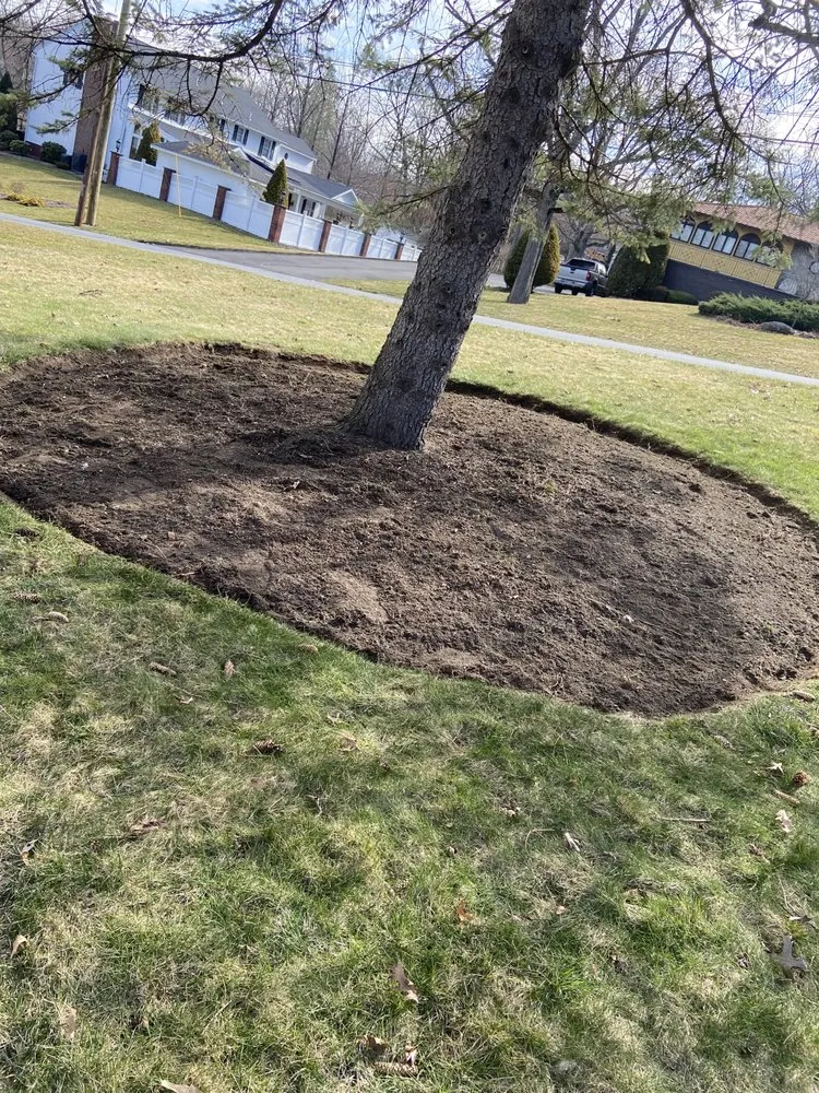 Local landscaping services in West Chester, PA - E&N Landscaping Lawn Maintenance