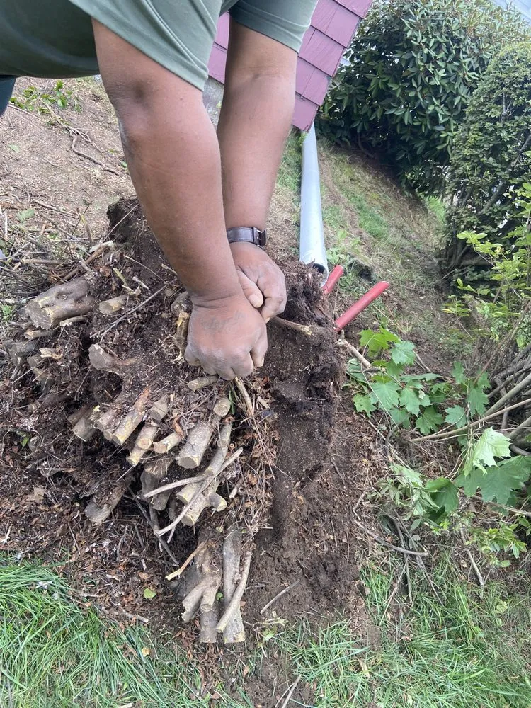 Local outdoor landscaping for beautiful yards in West Chester, PA by E&N Landscaping Lawn Maintenance