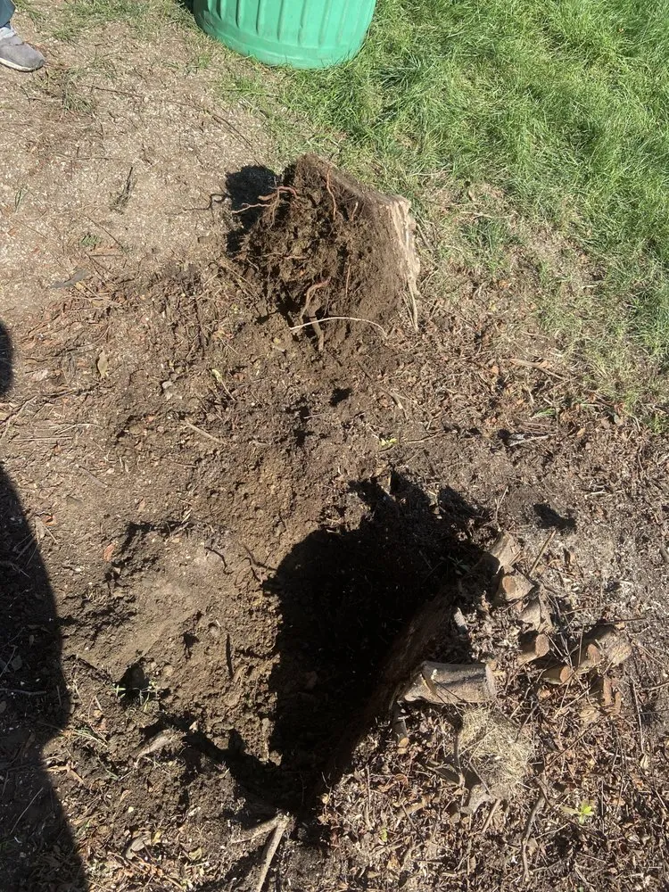 Affordable landscaping services in West Chester, PA - E&N Landscaping Lawn Maintenance