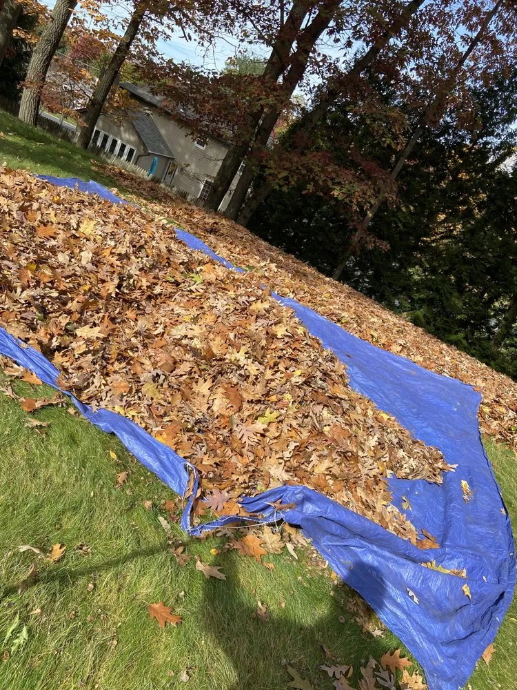 Trusted residential landscaping experts serving West Chester, PA - E&N Landscaping Lawn Maintenance