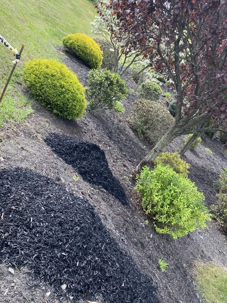 Professional landscape installation near you in West Chester, PA by E&N Landscaping Lawn Maintenance