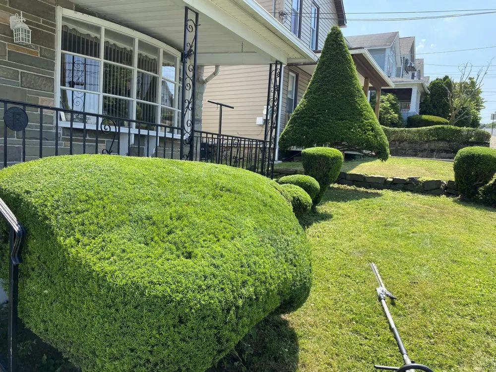 Reliable yard maintenance in Philadelphia, PA by E&N Landscaping