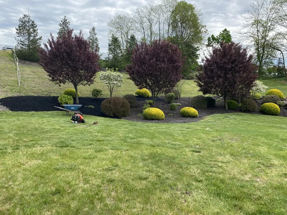 Custom yard maintenance in Philadelphia, PA by E&N Landscaping