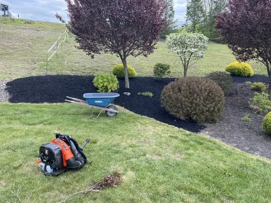 E&N Landscaping Logo