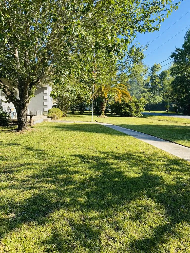 Professional residential landscaping in Brunswick, GA by E&N Management