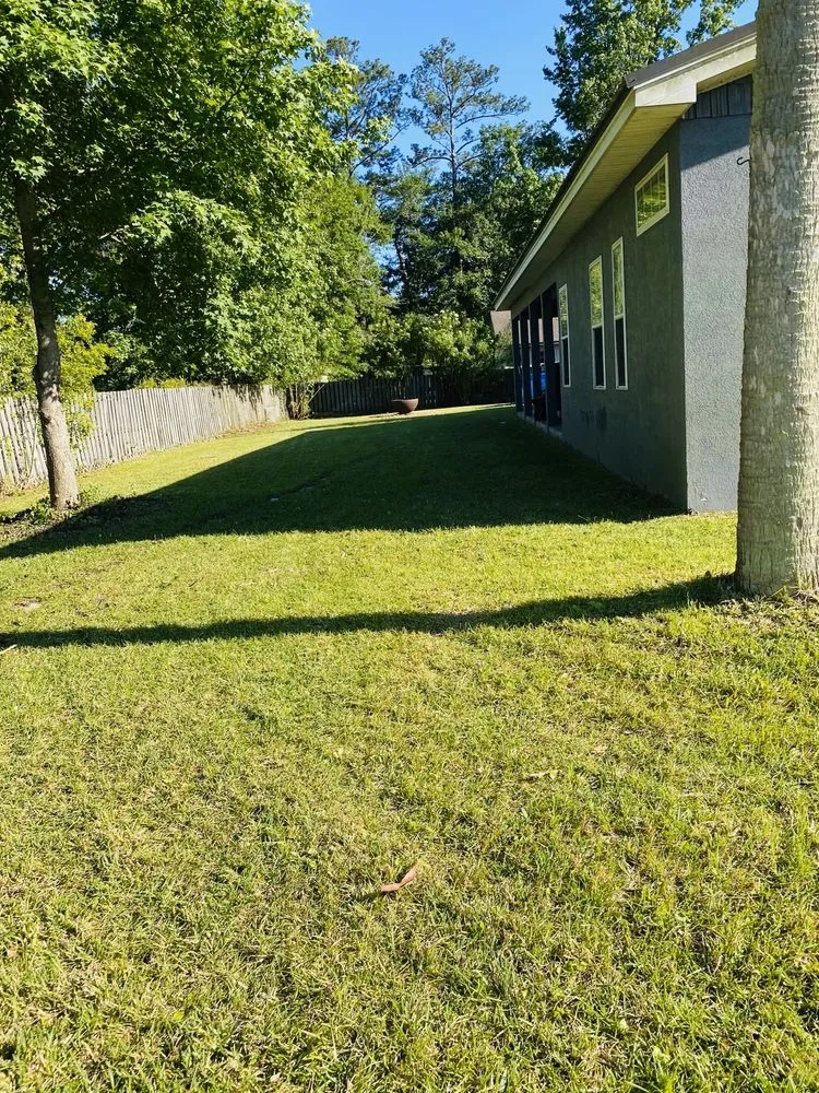 Custom yard cleanup service in Brunswick, GA - E&N Management