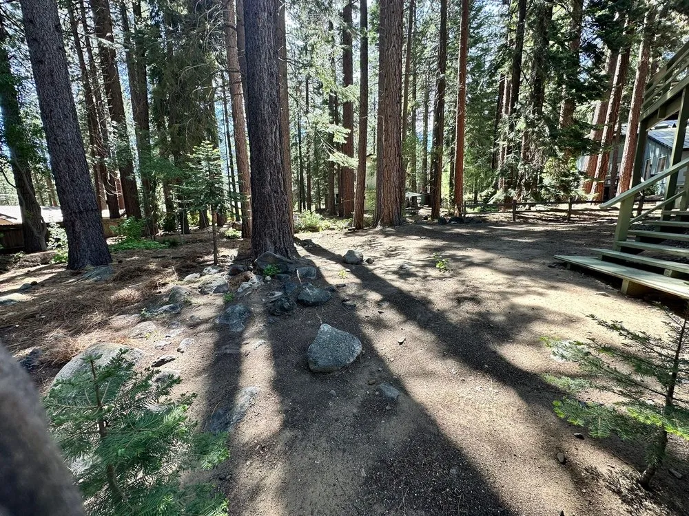 Professional lawn mowing service for residential properties in Truckee, CA by EN Tahoe Landscaping