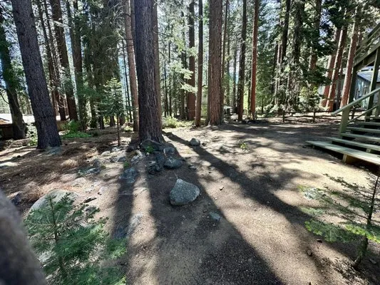 EN Tahoe Landscaping Logo