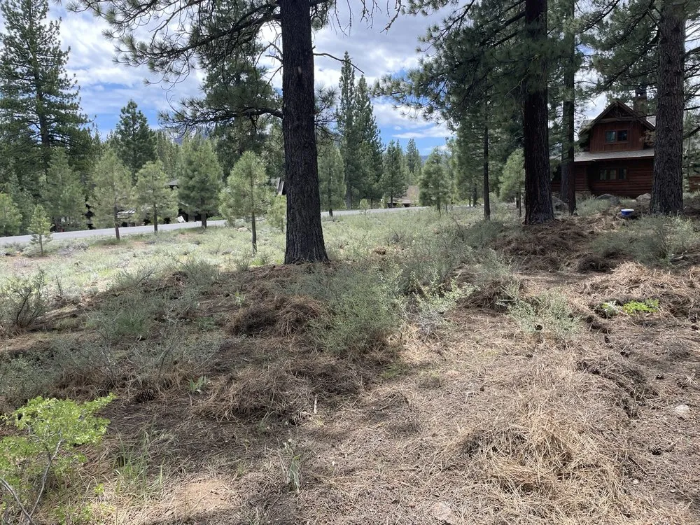 Expert yard maintenance in Tahoe, CA by EN Tahoe Property Care