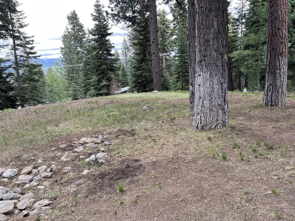 Custom lawn mowing service experts serving Tahoe, CA - EN Tahoe Property Care