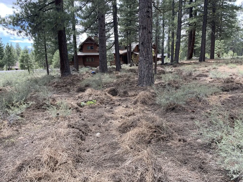 Expert lawn mowing service for outdoor upgrades across Tahoe, CA - EN Tahoe Property Care