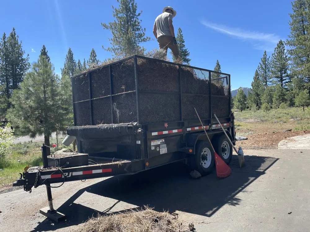 Professional yard cleanup service in Tahoe, CA - EN Tahoe Property Care