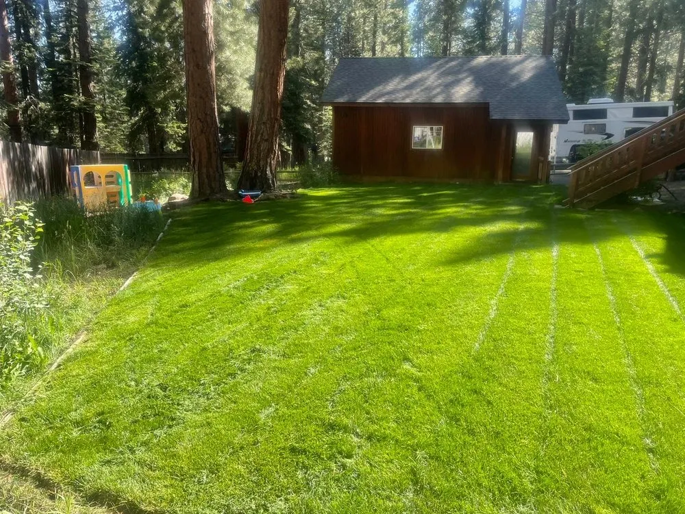 Trusted landscaping services for residential properties in Tahoe, CA by EN Tahoe Property Care