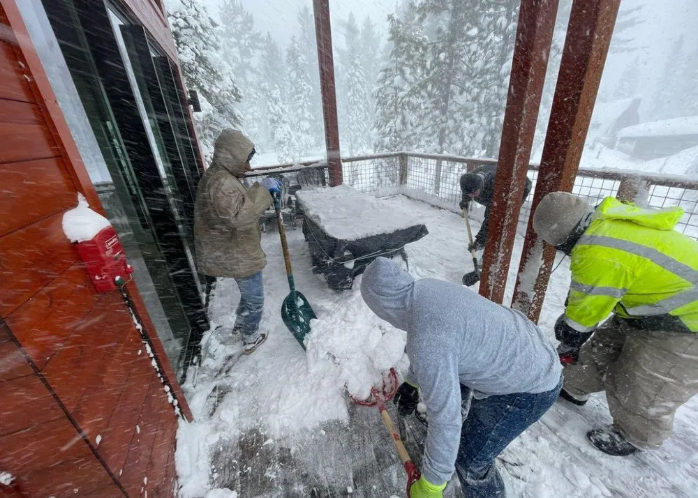 Trusted lawn care service in Tahoe, CA - EN Tahoe Property Care