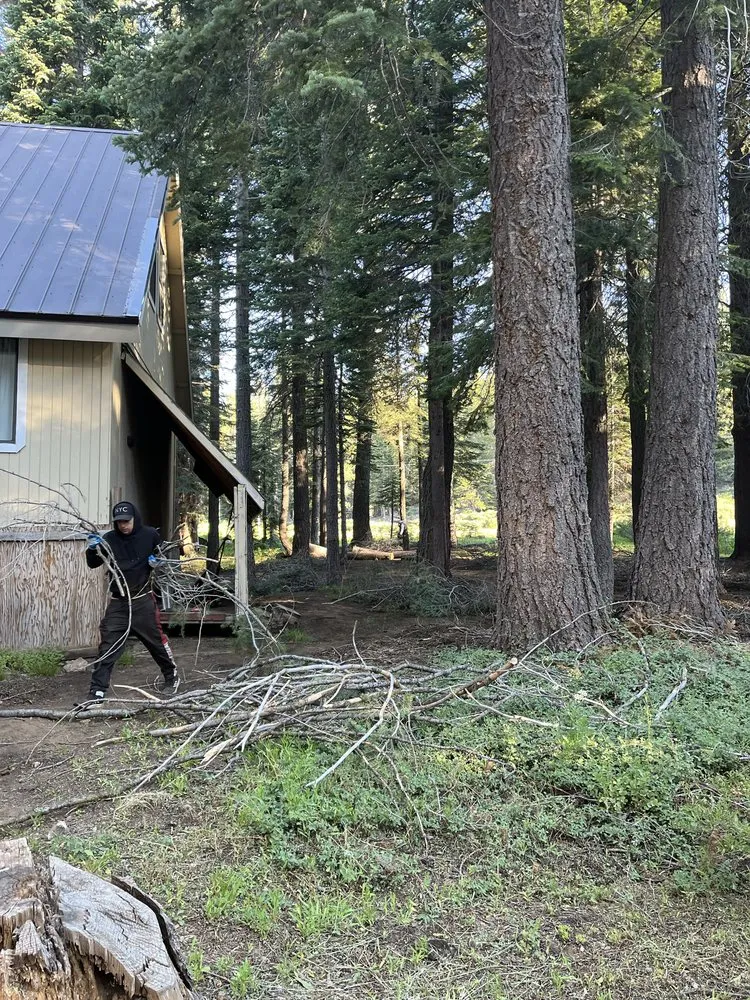 Top-rated yard maintenance in Tahoe, CA by EN Tahoe Property Care