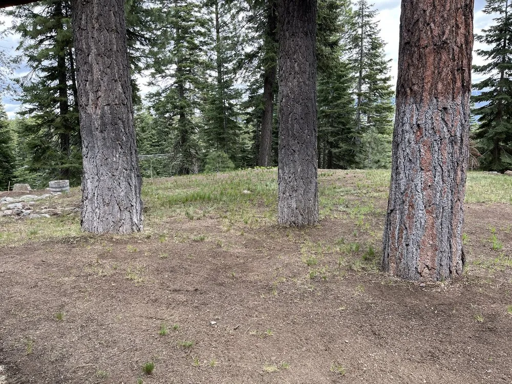 Professional yard cleanup service in Tahoe, CA - EN Tahoe Property Care