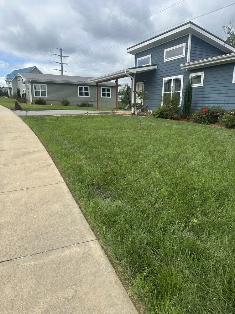 Custom yard cleanup service near you across Hendersonville, NC - ENA Lawn Vision