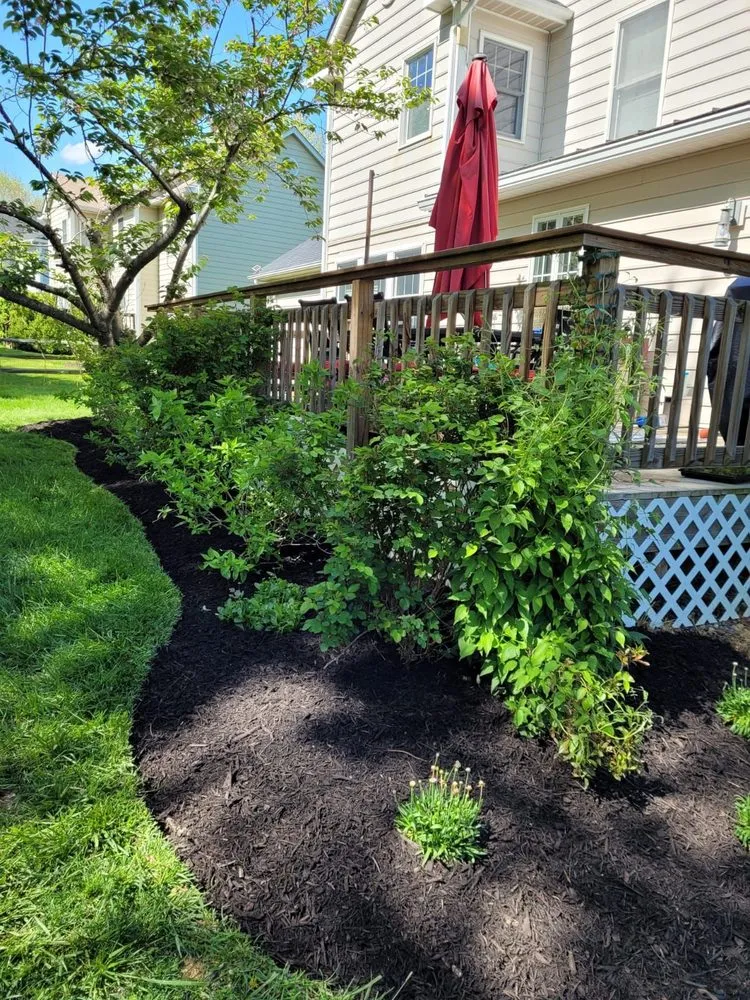 Local outdoor landscaping in Frederick, MD - Enamorado Contractors