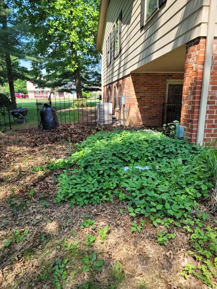 Local lawn mowing service in Frederick, MD by Enamorado Contractors