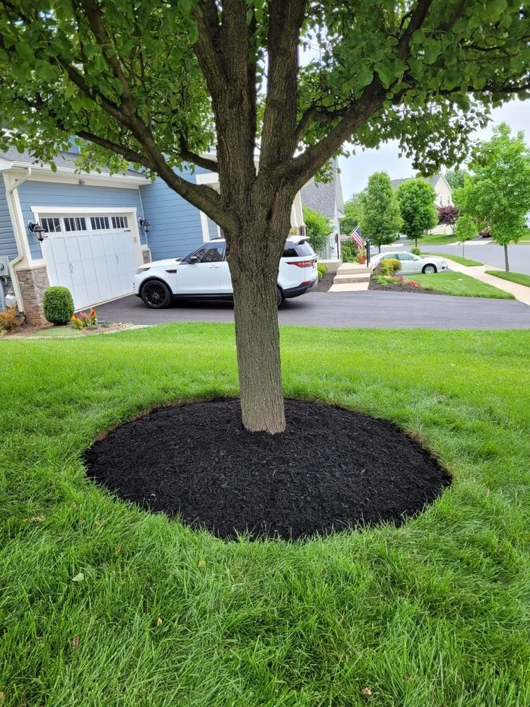 Reliable landscape installation in Frederick, MD - Enamorado Contractors