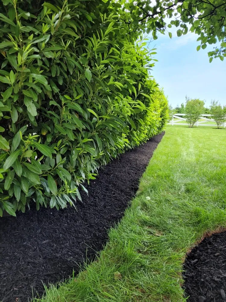 Expert lawn care service near you across Frederick, MD - Enamorado Contractors