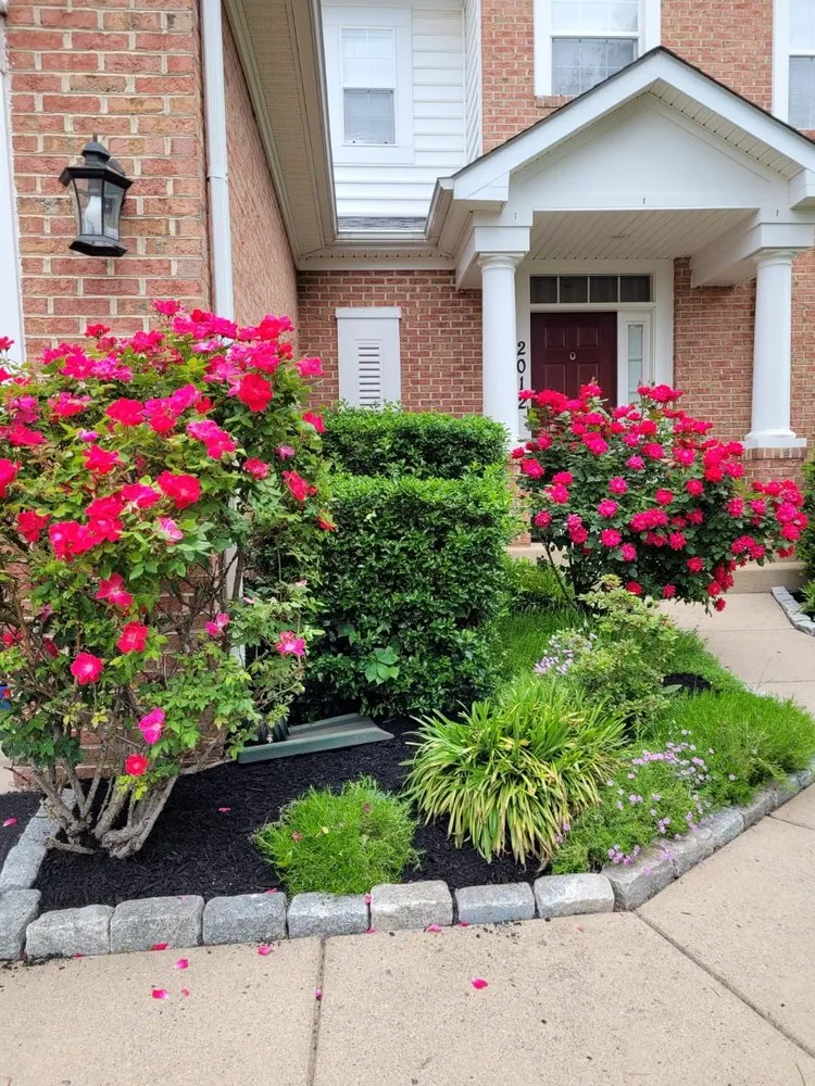 Expert yard maintenance experts serving Frederick, MD - Enamorado Contractors