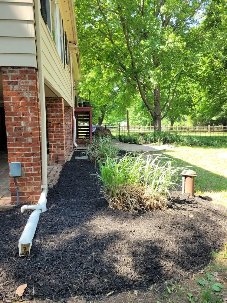 Expert yard cleanup service in Frederick, MD - Enamorado Contractors