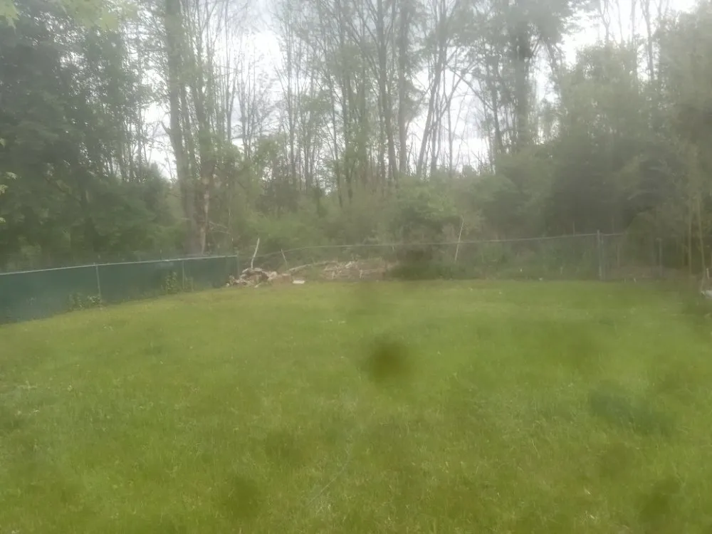 Professional landscaping services in Newton, NJ by ENB Handyman