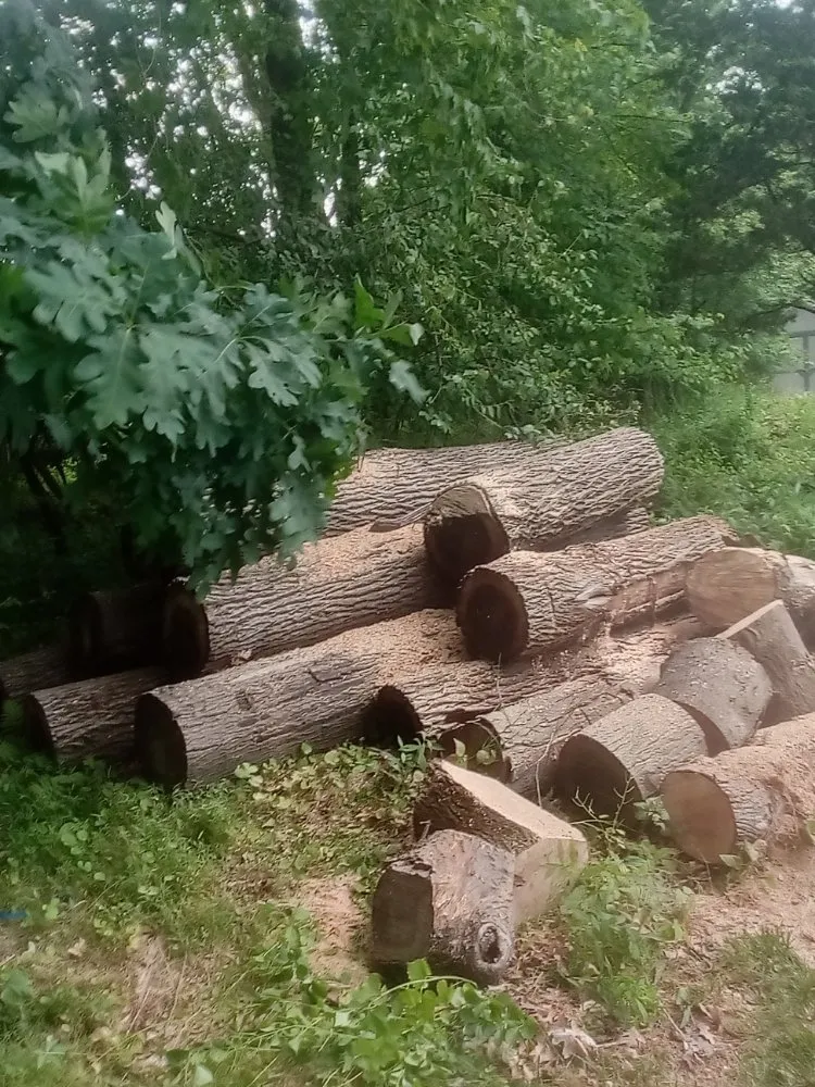 Custom residential landscaping for beautiful yards in Newton, NJ by ENB Handyman