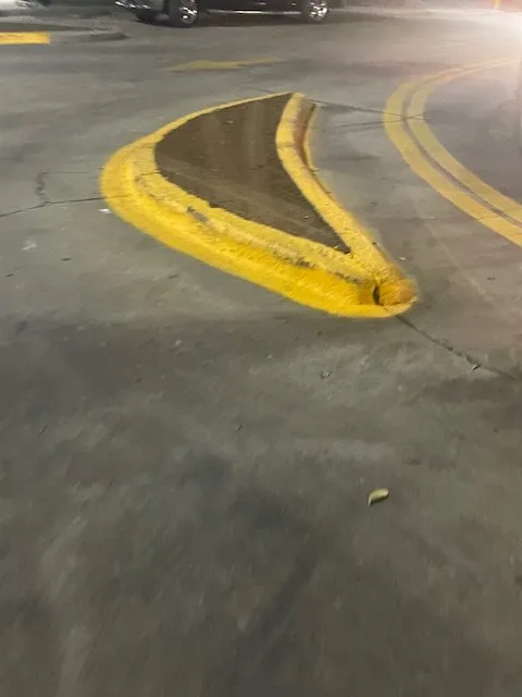 Custom lawn care service in Mesquite, TX by ENC Landscape Services