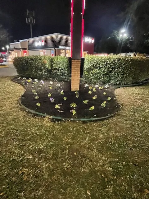 Top-rated landscape design experts serving Mesquite, TX - ENC Landscape Services